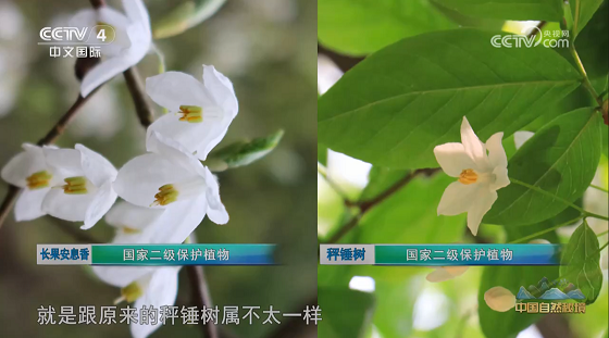 QQ截图20230810150147.png